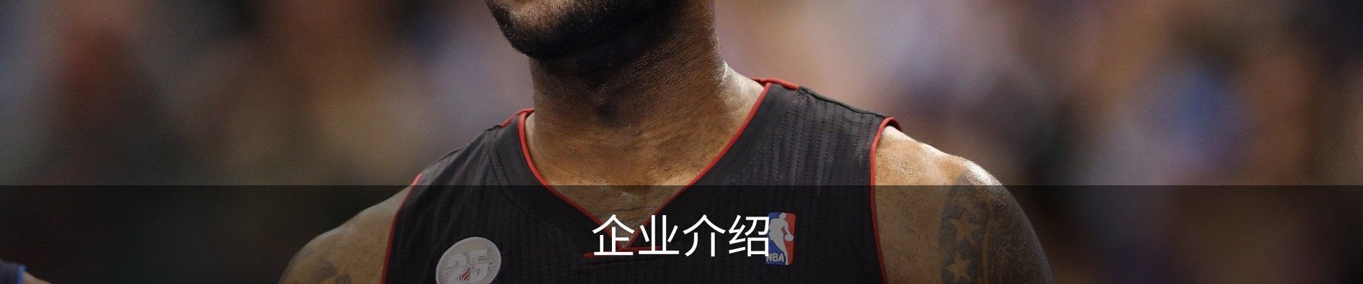 企业介绍