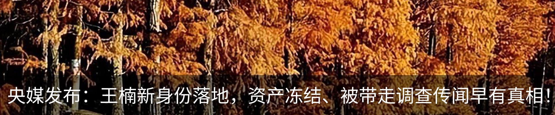 热点资讯